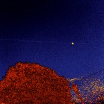 Theme_for_Jack_site1